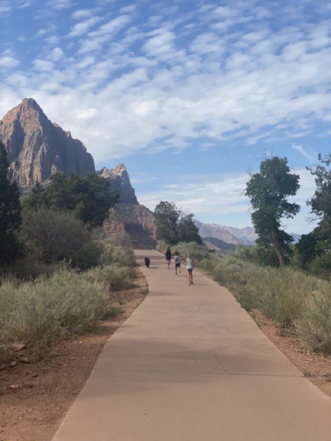Our Stop in Zion